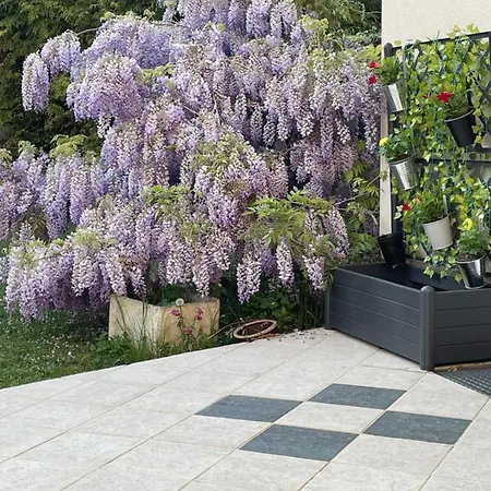 דירה Studio Beauregard - Terrasse Et Jardin